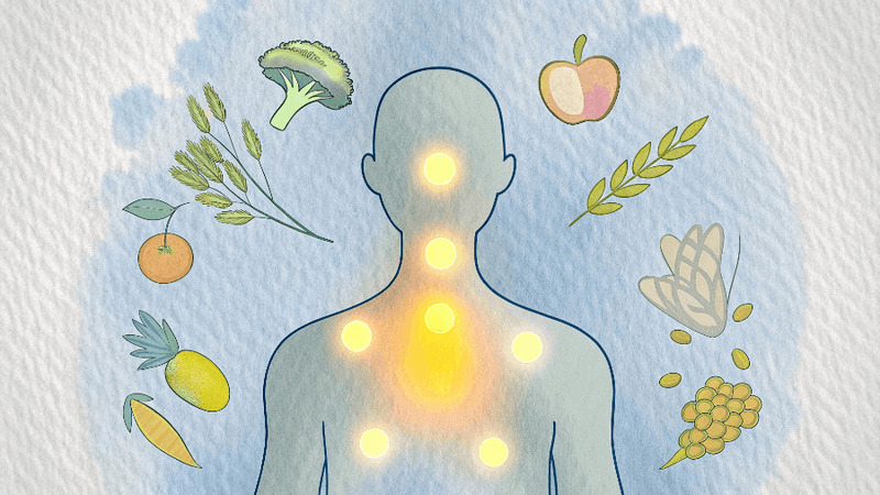 Читайте также: